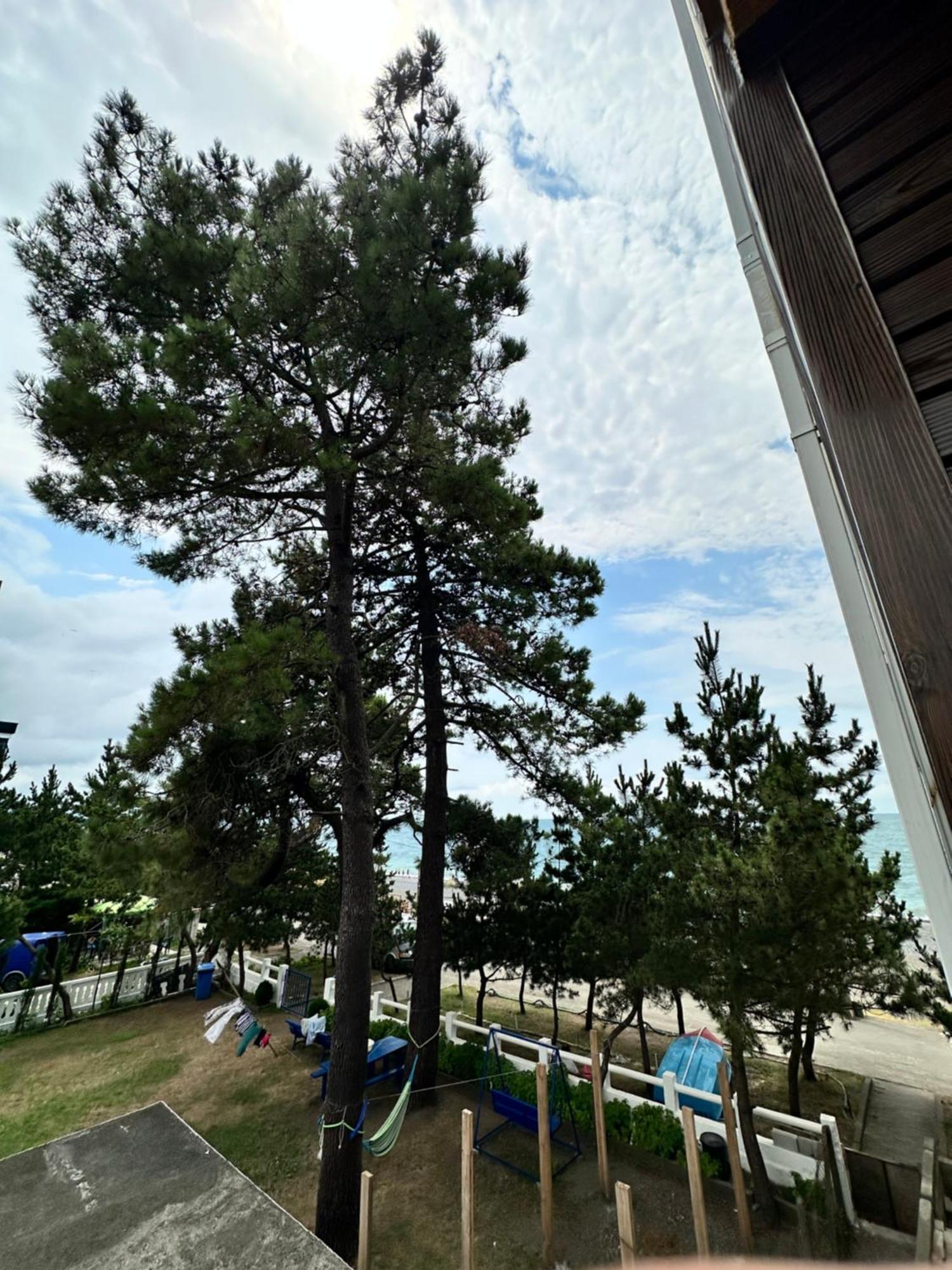 Hotel Black Sea Kobuleti Kültér fotó